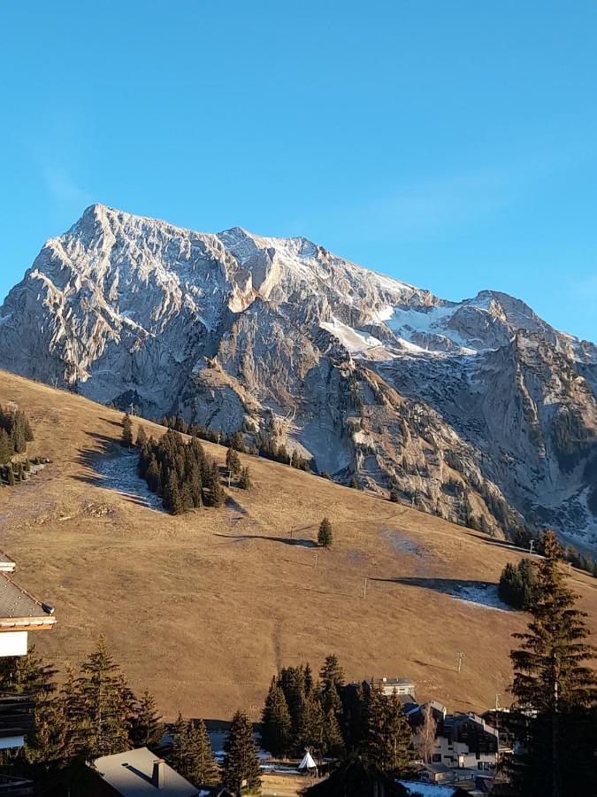 Appartement Au Coeur Des Aravis Manigod Esterno foto